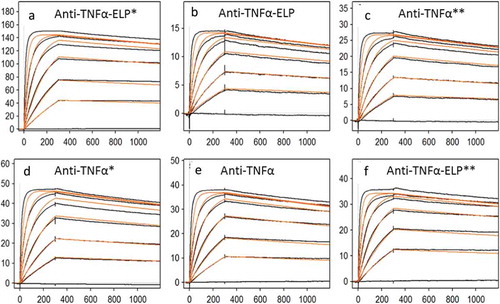 Figure 5. Sensorgram for binding of anti-TNFα antibodies to recombinant human TNFα obtained on a Biacore T200 instrument. (a) and (d) *Stable complex were formed at 40°C before measuring affinity at RT. (c) and (f) **Stable complex formed at 40°C and then kept for 7 days at RT before measuring affinity. Goat anti-human IgG Fc antibodies were immobilized via amino coupling on the chip surface. Antibodies, diluted to a concentration of ~ 0.5 − 1.0 µg/mL in HBS-EP+ buffer, were captured on flow cell and recombinant human TNFα injected for 5 min at a flow rate of 50 µL/min with continuous flow of the running buffer at a flow rate of 50 µL/min. Biacore T200 Evaluation Software version 2.0 was used to fit the data from the TNF binding studies to a 1:1 kinetic model.