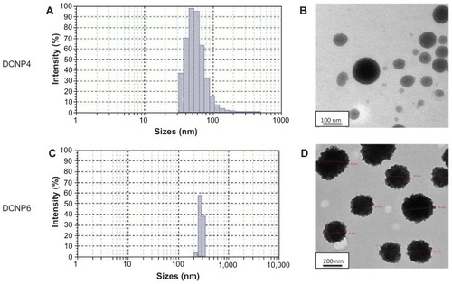 Figure 1 Particle size distribution (A and C) for DCNP4 and DPNC6, and transmission electron microscopy images (B and D), for DCNP4 and DPNC6 respectively.