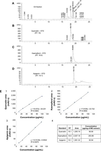 Figure 5 HPLC quantification of individual flavonoids in EA fraction.Notes: (A) HPLC fingerprints of the EA fraction obtained from MO leaves crude extract and individual peaks of standard flavonoids (B) quercetin, (C) kaempferol, and (D) apigenin with their corresponding RT. (E) Calibration graphs with associated linear regression equations of individual flavonoids (1) quercetin, (2) kaempferol, (3) apigenin, and (4) tabulation of individually quantified flavonoids expressed as µg/mg of MO-EA fraction.Abbreviations: HPLC, high-performance liquid chromatography; EA, ethyl acetate; MO, Moringa oleifera; RT, retention time; STD, standard.