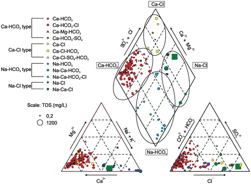 Figure 4. Water types in bedrock (n = 113) and surficial (n = 31) wells. Water samples from surficial wells are indicated with a black dot in the center. Ion concentrations are scaled to the observed total dissolved solids (TDS).