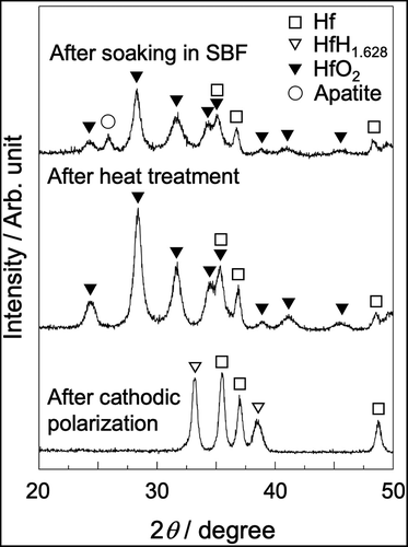 Figure 6. TF-XRD patterns of Hf substrates after cathodic polarization in NH4F solution and heat treatment, followed by soaking in SBF for 8 days.