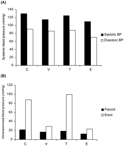 Figure 1. The effects of castration and testosterone replacement on nerve-stimulated erectile function in a rabbit mode. (a) Mean systemic arterial pressure in different treatment groups. (b) Intracavernosal pressure with or without nerve stimulation in different treatment groups. C, intact control animals; V, castrated animals receiving vehicle only; T, castrated animals receiving testosterone; and E, castrated animals receiving estradiol Citation[26]. Copyright © 1999, The Endocrine Society. Reprinted with permission from Traish AM, Park K, Dhir V, Kim NN, Moreland RB, Goldstein I. Effects of castration and androgen replacement on erectile function in a rabbit model. Endocrinology 1999;140:1861–1868. All rights reserved.