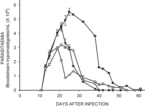 Figure 2.  Effect of ethyl ester of N-propyl oxamate (Et-NPOX) (▵), ethyl ester of N-isopropyl oxamate (Et-NIPOX) (▾), and nifurtimox (○) on acute parasitemia of mice infected with INC-5 T. cruzi strain, using as a control (•) infected and non-treated mice. The drugs were administered orally 10 mg/kg per day during 60 days.