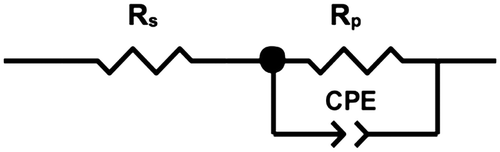 Figure 3. Randles circuit used for fitting the experimental data.