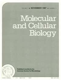 Cover image for Molecular and Cellular Biology, Volume 7, Issue 11, 1987
