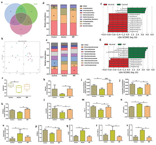 Figure 2. WIP treatment ameliorates the ethanol-induced gut dysbiosis