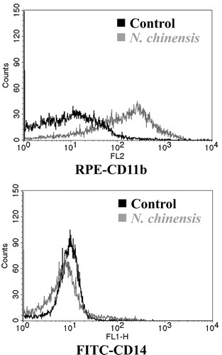 Figure 3. The differentiation-inducing effect of N. chinensis in HL-60 cells. The cells were treated with or without 100 μg/ml of N. chinensis for 72 h. Differentiation was assessed by evaluating the extent of CD11b and CD14 expression using a flow cytometry.