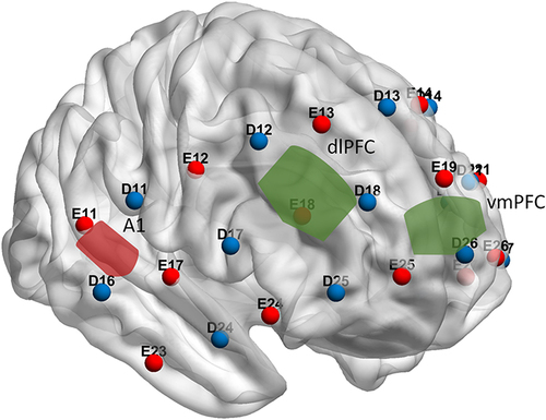 Figure 3 Brain schematic showing the configuration of channels with identified detectors (red circles) and emitters (blue circles) over the prefrontal cortex and the superior temporal cortex. The red shaded area represents the primary auditory cortex (A1), the green areas represent the ventromedial prefrontal cortex (vmPFC) and the dorsolateral prefrontal cortex (dlPFC).