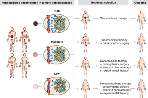 Figure 2. Toward image-guided and personalized nanomedicine. Personalized nanomedicine is based on the (pre-) selection of patients on the basis of noninvasive imaging information. Ideally, not only accumulation in primary tumors should be considered, but also localization in systemic metastases. Depending on the accumulation pattern of nanomedicines in tumors and metastases – which can vary quite substantially – optimized treatment regimens can be envisaged for each individual patient.