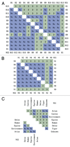 Figure 3. All paired comparisons in different HA subtypes (A), NA subtypes (B), and species (C). The upper right and lower left triangles show the data from NS1 and NS2 proteins, respectively. D and No indicated the difference with and without statistical significance (the Holm–Sidak comparison test).