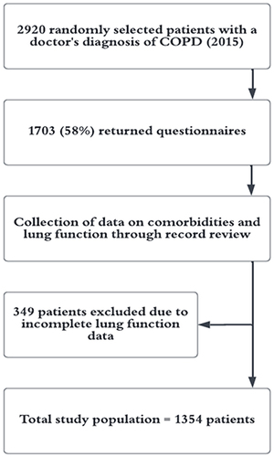 Figure 1 Flow chart describing the selection and data collection within the study.