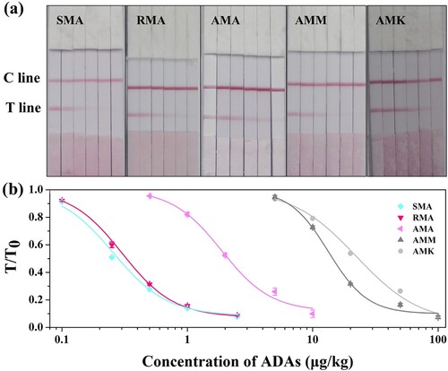 Figure 5. The test results of ADAs with LFIA. (a) Qualitative detection of ADAs in chicken samples (SMA: 0, 0.1, 0.25, 0.5, 1, 2.5 μg/kg; RMA: 0, 0.1, 0.25, 0.5, 1, 2.5 μg/kg; AMA: 0, 0.5, 1, 2, 5, 10 μg/mL; AMM: 0, 5, 10, 20, 50, 100 μg/kg; AMK: 0, 5, 10, 20, 50, 100 μg/kg); (b) Standard curves for detecting chicken samples using LFIA. The X-axis is shown as the logarithmic concentrations of ADAs; and T/T0 defined as the ratio of the colour density of the spiked sample to that of the blank sample.