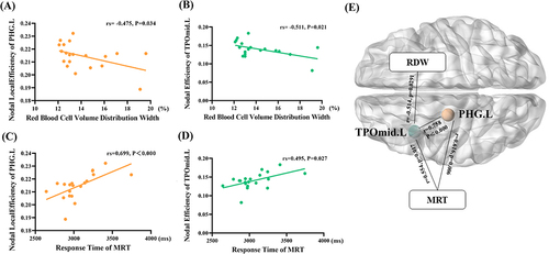 Figure 3 Results of correlation analysis ((A and B) The correlation between topology attribute and red blood cell volume distribution width in inflammatory bowel disease patients; (C and D) The correlation between topology attribute and mental rotation task response time in inflammatory bowel disease patients; (E) Partial Correlation Network.).