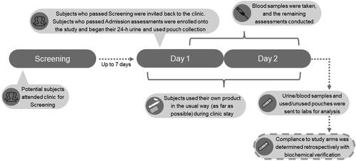 Figure 1. Schematic of the study protocol.