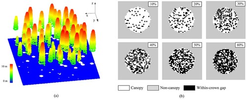 Figure 5. Simulated point cloud data. (a) Canopy scene. (b) Samples of individual canopies with different proportions of within-crown gaps (10−60%).