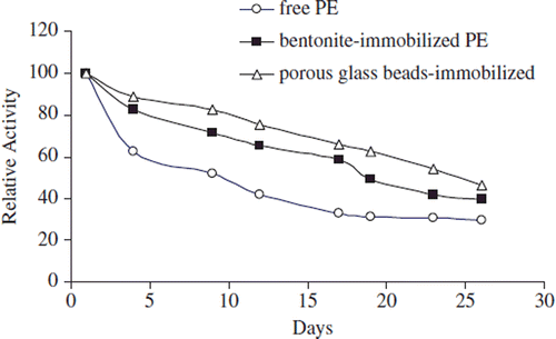 Figure 7. Storage stability of free and immobilized PE from Malatya apricot pulp at 4°C.