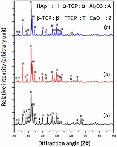 Figure 10. XRD pattern of HA – R7 coating pure titanium: (a) as coated; after heat treatment for 2 h in air at (b) HT-750 and (c) HT-950 [Citation36].