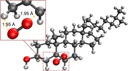 Figure 6. Molecular structure of the concerted transition state for the addition of singlet oxygen to cholesterol at the 6 position to form the R-6-hydroperoxycholesterol.