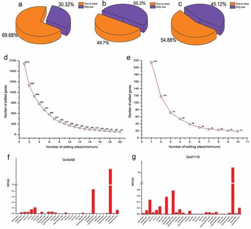 Figure 5. Genes with different numbers of editing events. (a) Proportion of genes with one editing event and genes with two or more editing events in germ cells. (b) Proportion of genes with one editing event and genes with two or more editing events in sertoli cells. (c) Proportion of genes with one nonsynonymous editing event and genes with two or more nonsynonymous editing events in germ cells. (d) The number of genes with different numbers of editing events in germ cells. (e) The number of genes with different numbers of nonsynonymous editing events in germ cells. (f) The expression of Gm5458across different tissues. (g) The expression of Gm21119across different tissues