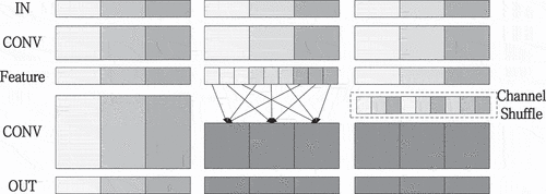 Figure 1. Group convolution and channel shuffling.