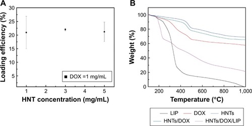 Figure 1 (A) Loading efficiency of DOX in different HNT concentrations. (B) TGA curve of LIP, DOX, HNTs, HNTs/DOX, and HNTs/DOX/LIP.Abbreviations: DOX, doxorubicin; HNT, halloysite nanotube; LIP, soybean phospholipid; TGA, thermal gravimetric analysis.