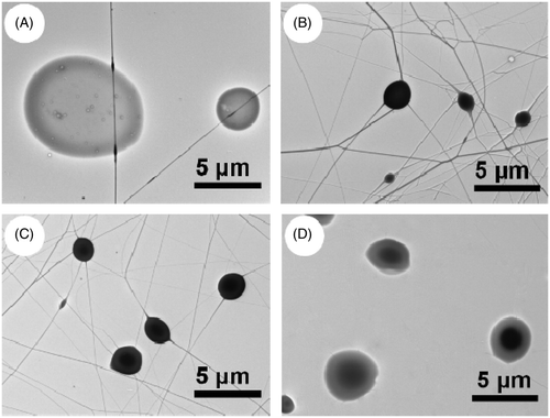 Figure 1. TEM images of microparticles prepared by coaxial electrospray technique. (A) Formula a-0% PLGAin; (B) formula b-6% PLGAin; (C) formula c-5% PLGAin and (D) formula d-4% PLGAin.