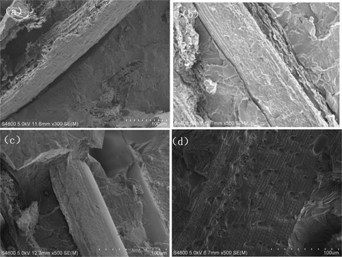 Figure 7. Morphologies of the composites at the impact section: (a) UN, (b) NaOH, (c) KBM403, and (d) TEOS.