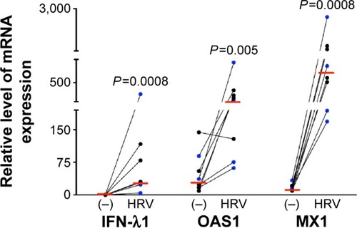 Figure 1 Rhinovirus infection increased expression of antiviral genes in human bronchial epithelial cells.Notes: Brushed bronchial epithelial cells cultured in ALI from normal subjects (n=4) and patients diagnosed with COPD (n=4) were exposed to air for 10 minutes and then infected with HRV-16 for 24 hours or treated with cell culture medium (−) as a control. HRV-16 significantly increased the mRNA expression of antiviral genes IFN-λ1, OAS1, and MX1. Relative levels of the three genes were normalized to the housekeeping gene GAPDH. The red horizontal bars represent the medians of the eight subjects. The Wilcoxon test was used to compare the difference between (−) and HRV-infected groups. Blue represents normal subjects, while black represents patients diagnosed with COPD.Abbreviations: ALI, air–liquid interface; HRV, human rhinovirus; mRNA, messenger RNA; IFN-λ1, interferon-λ1.