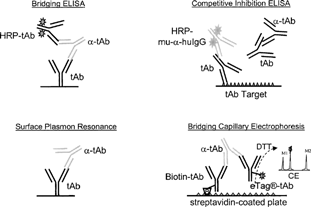 FIG. 6. Immunoassay platform schematics.