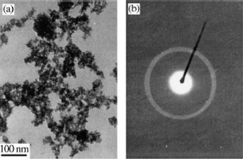 Figure 24. (a) TEM and (b) electron diffraction pattern of the as-prepared CuO nanoparticles Citation46.