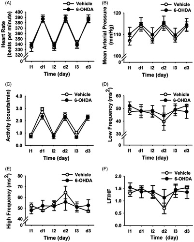 Figure 4. Time course of changes in cardiovascular and heart rate variability (HRV) parameters during the light and dark phase of baseline daily rhythms (three days). A2 6-hydroxydopamine (6-OHDA) lesions did not alter daily rhythms of heart rate (A), mean arterial pressure (B), locomotor activity (C), low frequency (LF) HRV (D), high frequency (HF) HRV (E) and LF/HF ratio (F) under resting conditions. Data are expressed as mean ± SEM (n = 5 for 6-OHDA and n = 6 for vehicle).