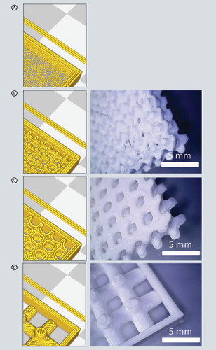 Figure 2. Application of the cubic cell approach.The geometry output from Meshmixer is sliced in Cura and can be seen as a virtual print preview on the left. Printed strands are visualized as cylinders. An image of the printed sample is shown on the right. Some of the outer walls are removed for better view of inner structure. (A) Single sample, (B) fine sample, (C) medium sample and (D) coarse sample.