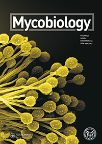Cover image for Mycobiology, Volume 47, Issue 4, 2019