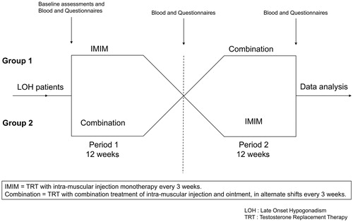Figure 1. The flow of this trial. Patients in Group 1 received testosterone replacement therapy (TRT) by intramuscular injection every 3 weeks for 12 weeks as phase 1. After that, they received TRT with combined treatment of intramuscular injection and ointment in alternate shifts every 3 weeks for 12 weeks as phase 2. Blood samples and questionnaires were obtained at baseline and after each treatment period. Patients in Group 2 received TRT in the reverse order.