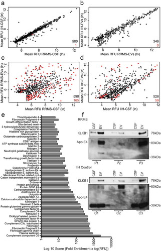 Figure 3. RRMS EV enriched protein identification and validation. The scatterplots shown in (a–d) give an overview of the results of the SOMAscan® array signifying all of the SOMAmer® bound proteins identified in the study. Comparisons were made between RRMS-CSF and IIH-CSF, a total of 580 proteins with RFUs > 200, (a) and corresponding CSF-EVs, 346 proteins, (b) only a single protein, vascular cell adhesion protein 1, is shown to be significantly different (p = 0.007) between RRMS-CSF and the IIH-CSF samples. In order to identify proteins that were uniquely enriched in RRMS-EVs, the CSF samples were compared with their corresponding EVs (c, d) Of these proteins, 71 were significantly higher in the CSF EVs. Fifty proteins were identified as uniquely enriched in the RRMS CSF EVs compared to whole CSF. These proteins are shown in the bar graph (e), ranked by an arbitrary scoring mechanism (fold enrichment × log(RFU)). From this list, several proteins were chosen for validation by western blot using completely new validation samples. The western blots show staining for KLKB1 (Plasma Kallikrein) and Apo E4 for matching CSF and CSF EVs for each of three RRMS patients (P1–3) and three control patients (C1–3). KLKB1 was observed at the expected molecular weight of ~ 76 kDa at higher levels in the EVs than the CSF in all instances. ApoE4 was primarily detected at ~ 80 kDa in the RRMS samples, with higher levels observed in the EV preparations. In the IIH controls, staining can be seen at the expected ~ 36 kDa for C1 and C3 and the 80 kDa form appears to be enriched in the EVs only. (a–d) Open black circles represent the mean RFU of SOMAmer® bound proteins with a p-value > 0.05. Red filled circles represent significant differences (p ≤ 0.05) in the levels of the SOMAmer® bound proteins. All statistical test were t-tests with Benjamini-Hochberg correction for multiple comparisons. The total number of proteins is indicated in black and the number of significantly different proteins in red.