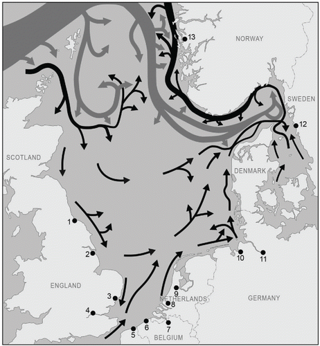 Figure 4. The counterclockwise residual current in the North Sea (black) and the deep water flow from the Atlantic Ocean (gray) (Turrell Citation1992). The arrow width indicates the magnitude of volume transport. The dark dots are the major North Sea ports. The numbers correspond to the numbers in Table 1.