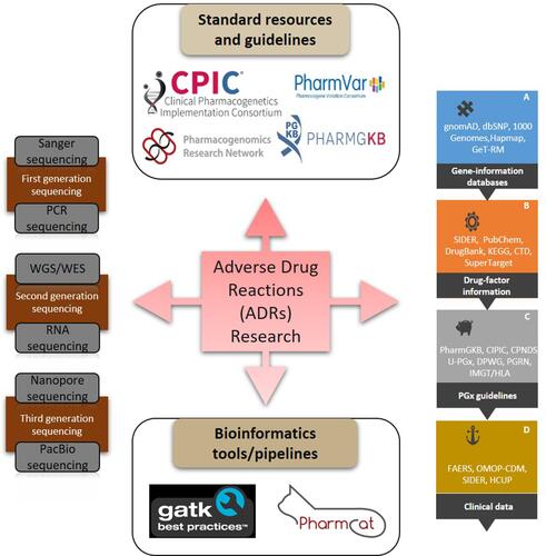 Figure 1 Pharmacogenomics for ADRs: networks, data, and pipelines.