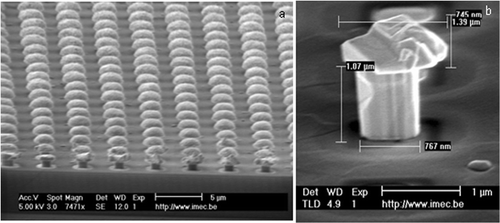 Figure 3. SEM picture: (a) an array of Au needles and (b) detailed view of a single needle.