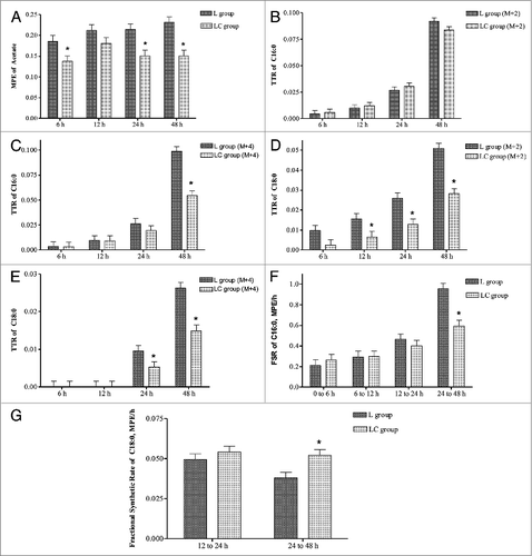 Figure 5. Lipogenesis in bovine intermuscular adipocyte cultures from steers that grazed legume pastures with (LC) or without (L) corn grain supplementation (0.75% of body weight/d). (A) Estimation of molar percent excess (MPE) of acetate after [1-13C]2 addition to the media. (B) Tracer-to-tracee (TTR) ratio of C16:0. (C) Tracer-to-tracee (TTR) ratio of C16:0. (D) Tracer-to-tracee (TTR) ratio of C18:0. (E) Tracer-to-tracee (TTR) ratio of C18:0. (F) Fractional synthetic rate of 13C-16:0 synthesized from 1,2-13C-acetate over a period of 48 h. (G) Fractional synthetic rate of 13C-18:0 synthesized from 1,2-13C-acetate over a period of 48 h.