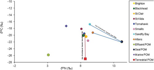 Figure 5. Comparison of carbon and nitrogen-stable isotopic ratios in the tissues of Ulva lactuca and particulate materials collected in 2015 along the Otago coastline, New Zealand.