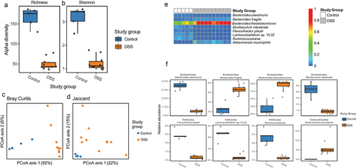 Figure 2. Effect of DSS colitis on the composition of the cecal microbiome. Alpha diversity assessed by (a) richness and (b) Shannon Index (p < .05 for both, two-tailed unpaired Student’s t-tests). Beta diversity assessed by (c) Bray-Curtis and (d) Jaccard distances (p = .01 for both, PERMANOVA). (e) Heatmap showing relative abundance of bacterial species in the cecum of control and DSS treated mice. (f) Differentially abundant taxa between the control and DSS groups (FDR <0.05, mixed effects modeling).