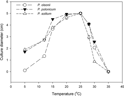 Fig. 5. Mycelial growth of three Penicillium species on CYA at different incubation temperatures ranging from 5 to 35 °C. Growth was measured after 2 weeks of incubation. Data are the average of six replicates. Data for the eight isolates of P. olsonii were pooled.