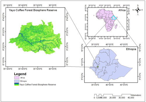 Figure 1. Map of YCFBR, southwestern Ethiopia.