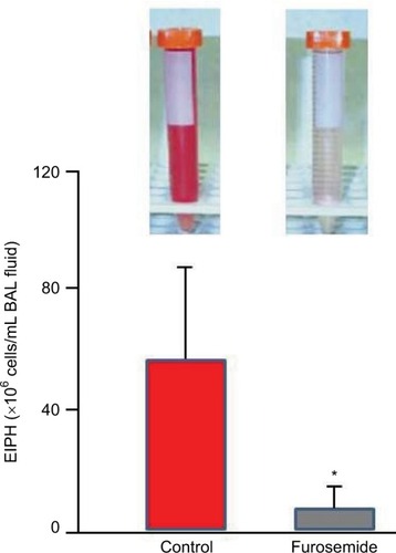 Figure 8 The diuretic furosemide significantly (*) reduced exercise-induced pulmonary hemorrhage during high-intensity exercise as measured by bronchoalveolar lavage.