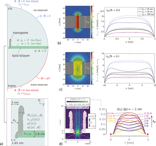 Figure 3. Examples of EOF solved within the PNP-NS framework. Panels a and d are adapted from Willems et al. [Citation25], while panels b and c are adapted from Melnikov et al. [Citation91]. Boundary conditions. a) Model for a typical nanopore geometry with the different components of the PNP-NS equations and boundary conditions. Here, dielectric constant ε, viscosity η, diffusivity D and fluid density ρ depend on the local ion concentration, while η and D also depend on the distance to the solid boundary. Effect of pore size. b) Velocity field and axial velocity profile inside a cylindrical nanopore with radius 5 nm. The surface charge of the membrane and the voltage drop ΔV applied via boundary conditions give rise to EOF. Solid lines on the velocity profile represent the result of PNP-NS numerical simulations, while dashed and dotted lines show the analytical solution for the linearized Debye-Hückel theory for an infinitely long pore, using two different expressions for the ζ-potential. c) Same as b), considering a nanopore with larger radius, 10 nm. Effect of concentration. d) Electroosmotic velocity field inside a biological nanopore (ClyA) and axial velocity profile at the constriction. The biological nanopore is modeled as a fixed spatial charge density. The geometry of the nanopore, extracted from its molecular structure, is used as a boundary for the fluid domain. The velocity profile is shown for different ion concentrations (hence, different λD).