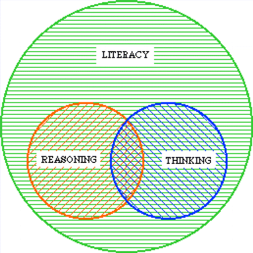 Figure 2. Outcomes of statistics education: Reasoning and thinking within literacy