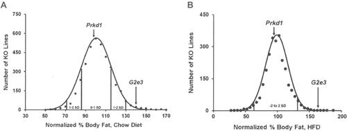 Figure 2 G2e3 KO mice, but not Prkd1 KO mice, are obese during high-throughput phenotypic screening.Notes: (A) Histogram of normalized % body fat for 3651 KO lines maintained on chow diet. Body composition analyses performed by DEXA on 14-week-old male mice fed chow diet from weaning were used to calculate normalized % body fat for each KO line, as described in Materials and Methods. Solid points indicate actual numbers of KO lines. Curved line shows the calculated curve; the range for 1 and 2 SD from the mean is indicated by lines located below the curve, and the mean values for the G2e3 and Prkd1 KO mouse lines are indicated by arrows shown above the curve. (B) Histogram of normalized % body fat for 2463 KO lines maintained on HFD. Body composition analyses performed by QMR on 11-week-old male mice fed 45% HFD from weaning were used to calculate normalized % body fat for each KO line, as described in Materials and Methods. Solid points indicate actual numbers of KO lines. Curved line shows the calculated curve; the range for 2 SD from the mean is indicated by lines located below the curve, and the values for the G2e3 and Prkd1 KO mouse lines are indicated by arrows shown above the curve.Abbreviations: DEXA, dual-energy X-ray absorptiometry; HFD, high-fat diet; KO, knockout; QMR, quantitative magnetic resonance; SD, standard deviation.