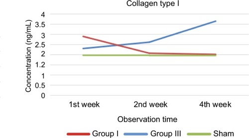 Figure 4 Collagen type I concentration pattern.