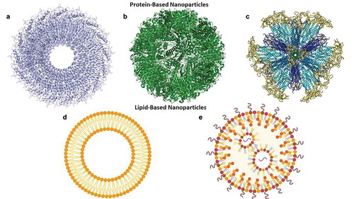 Figure 1. Different types of nanoparticles made from biological macromolecules used in the development of nanovaccines