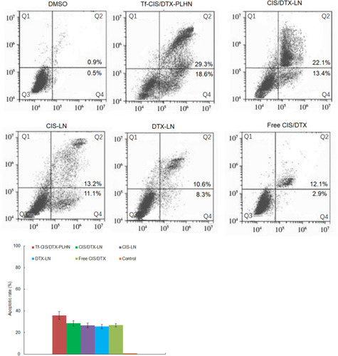 Figure 5 Apoptosis rates analyzed by flow cytometer. Data presented as mean ±SD.